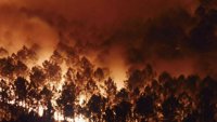 Inferno: Smrtonosni toplotni talas u Francuskoj