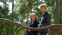 Inspektor Wallander