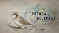 Priroda Beograda