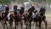 Konjički sport: Kasačke trke: Sombor - Hollo Cup