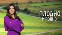 Plodno i rodno