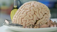 Kako ishrana oblikuje mozak