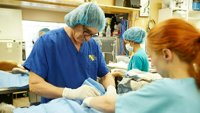 Dr Džef: Veterinar sa Stenovitih planina