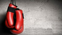 Kickbox: KICK-BOX Novi Sad 2025