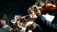Koncert Raše Pavlovića