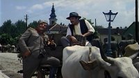 Marš na Drinu