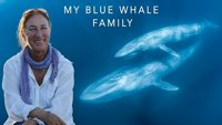 Moja obitelj plavetnih kitova