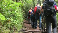 Kilimanjaro 2018