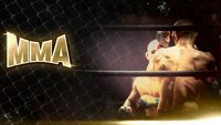 Borilački sport - MMA: Higo VS Alves