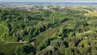 Rujanski dani - Oslobođenje slatinske vojarne i karaula